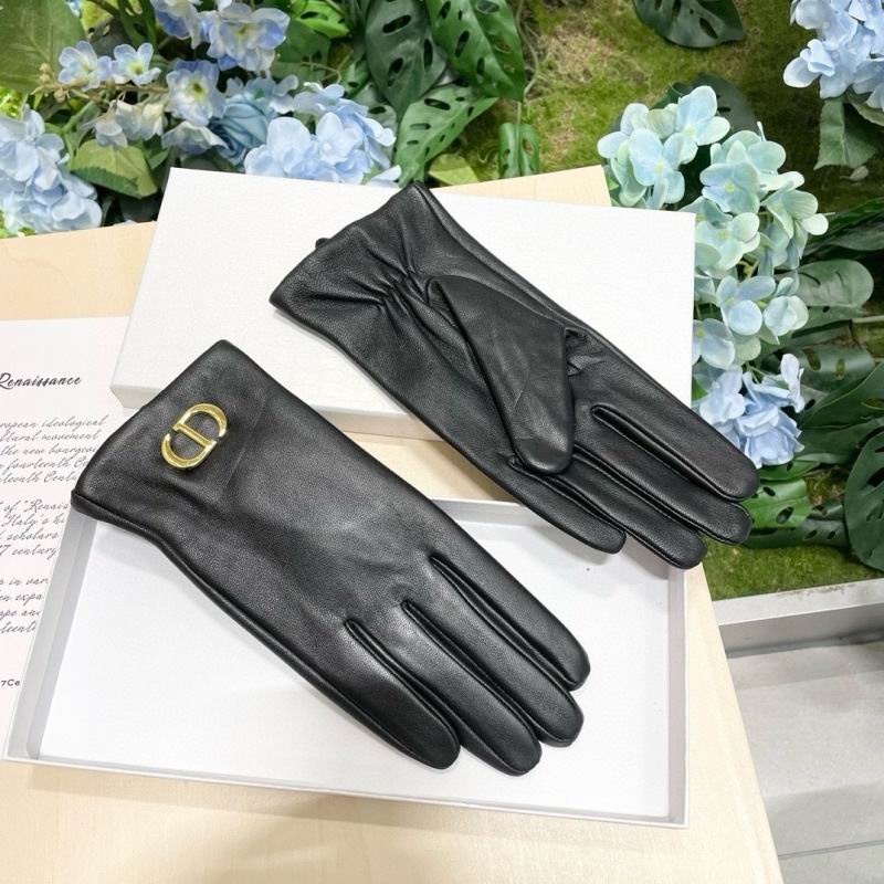 Dior Gloves hm (36)