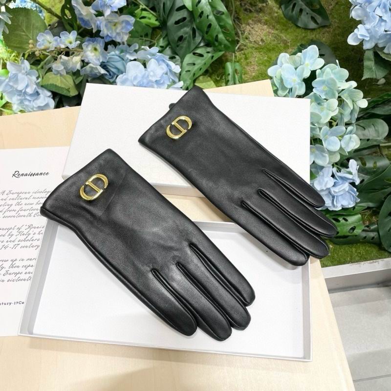 Dior Gloves hm (37)