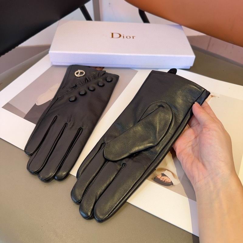 Dior Gloves hm (38)
