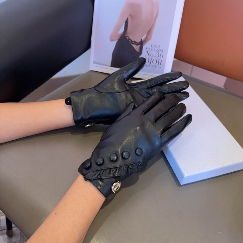 Dior Gloves hm (40)
