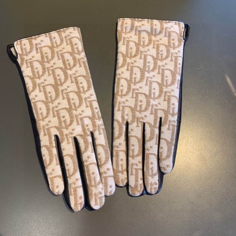 Dior Gloves hm (44)