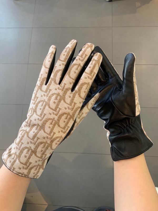 Dior Gloves hm (45)