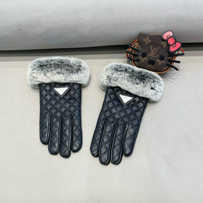 Dior Gloves hm (47)