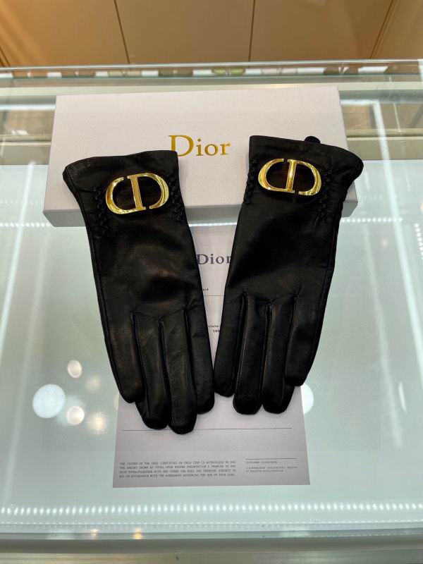 Dior Gloves hm (50)