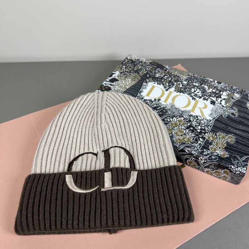 Dior Hat dx (656)