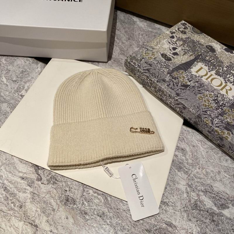 Dior Hat hm (37)