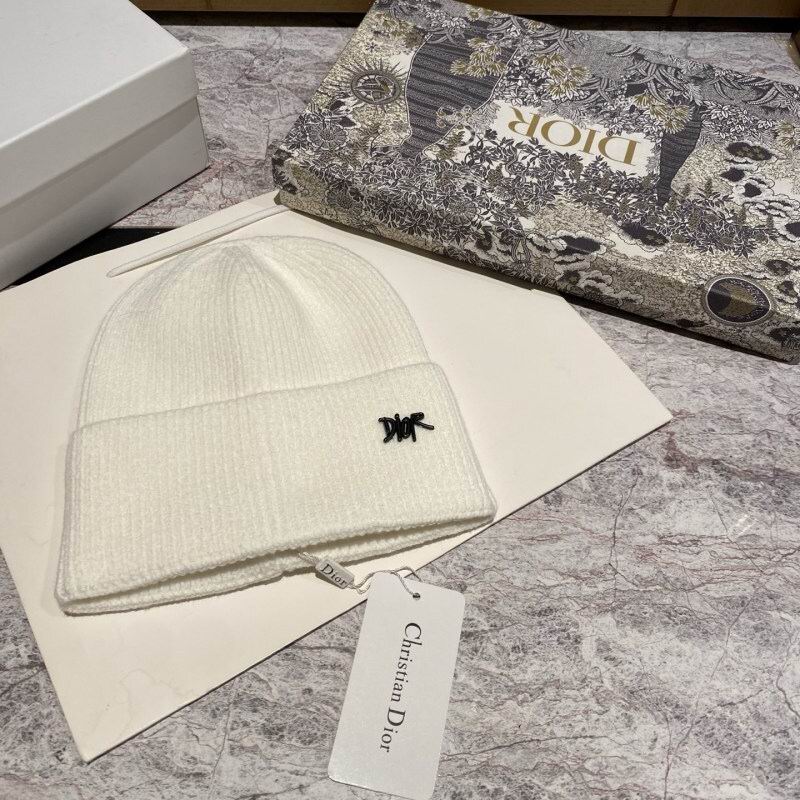 Dior Hat hm (42)