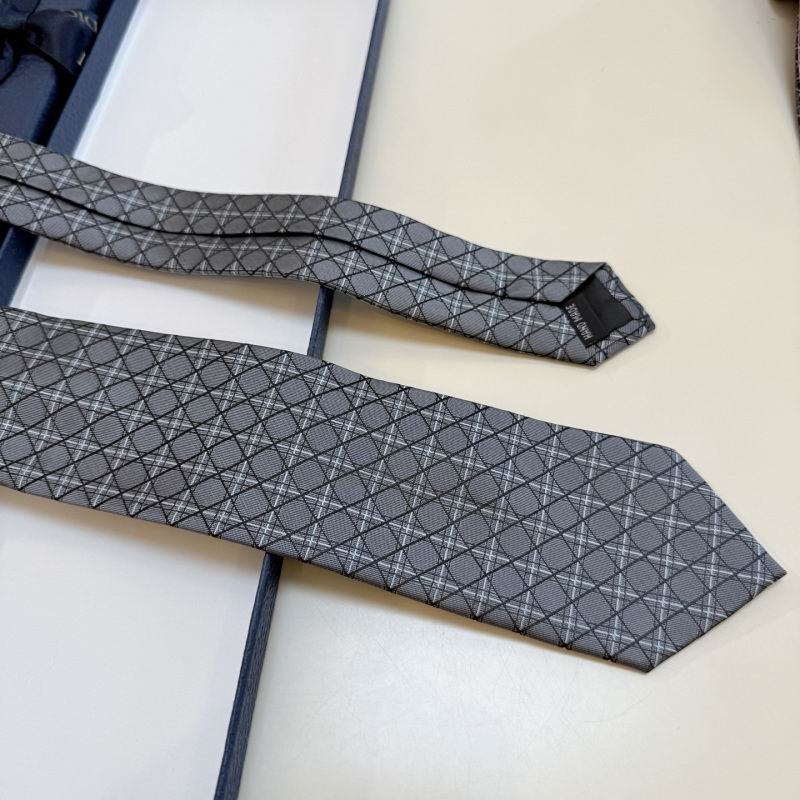Dior Tie hm (17)