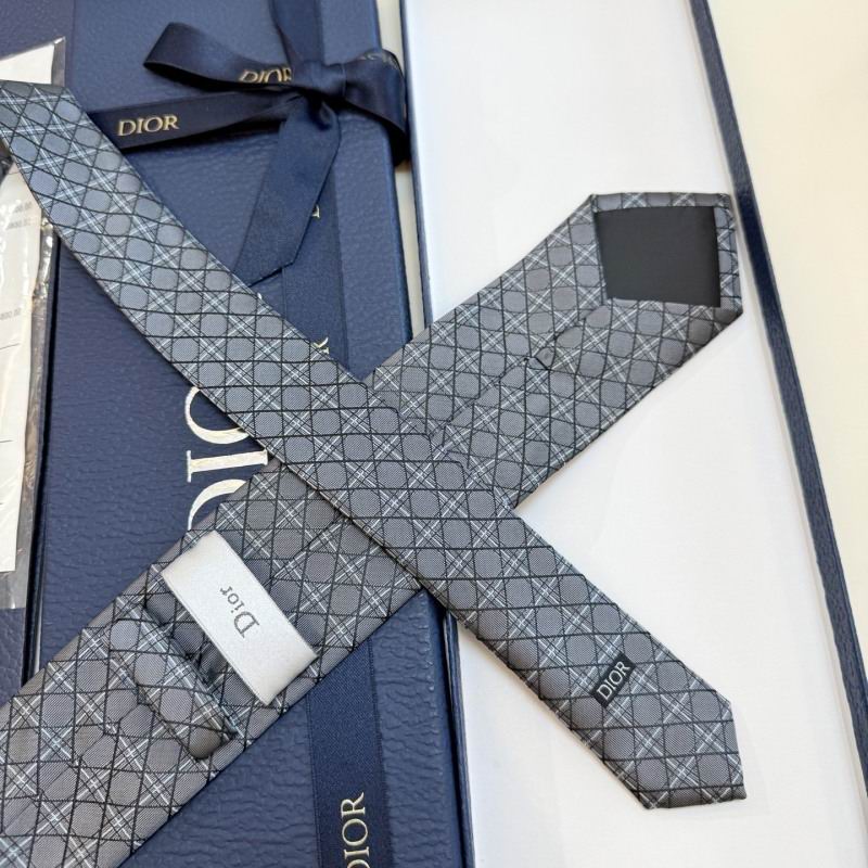 Dior Tie hm (18)