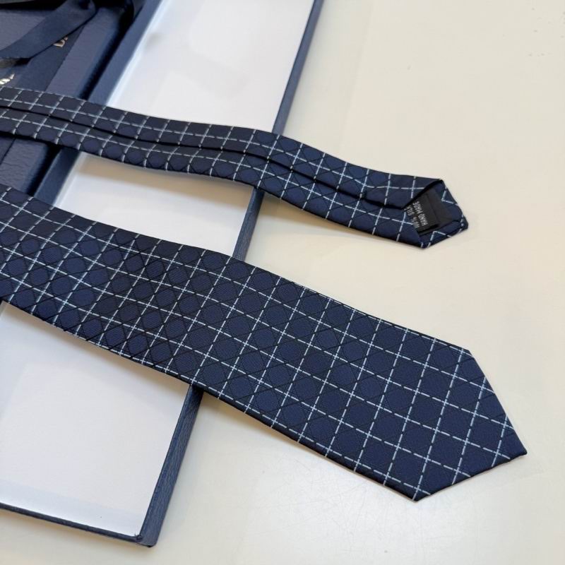Dior Tie hm (35)