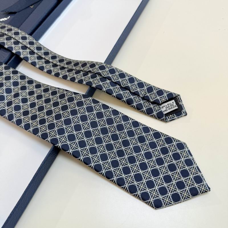 Dior Tie hm (44)