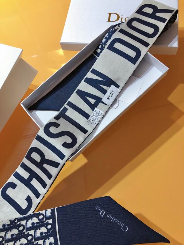 Dior silk ribbon 6X105cm E01 (4)