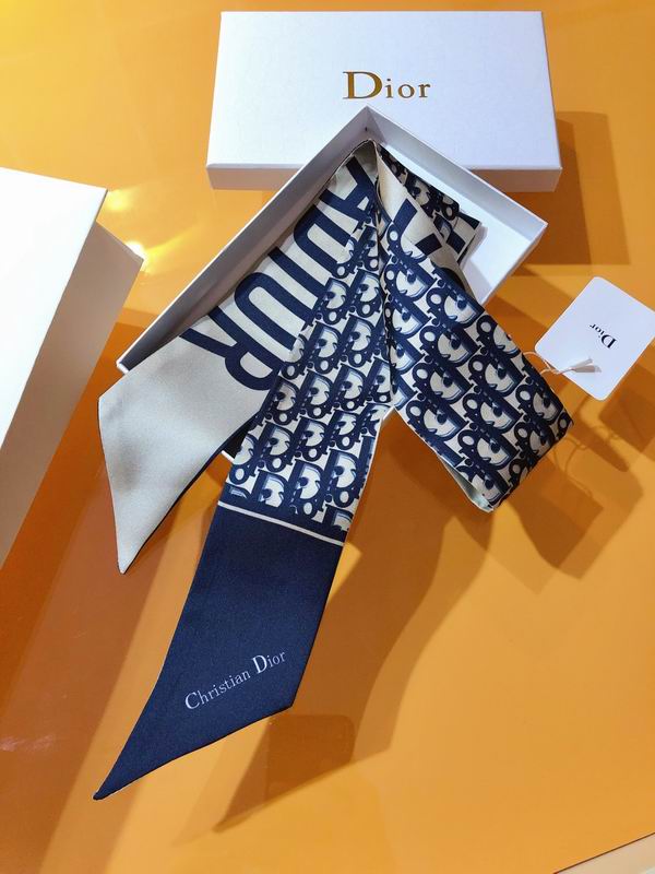 Dior silk ribbon 6X105cm E01 (6)