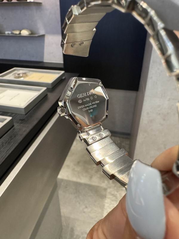 Dior watch 37 (7)
