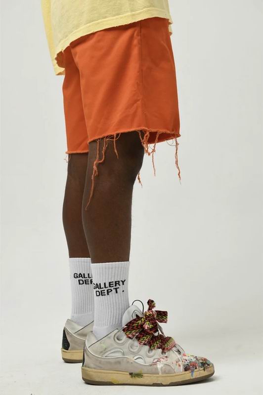 Gallery Dept socks QY (23)