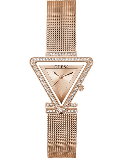 Guess watch 150 (41)