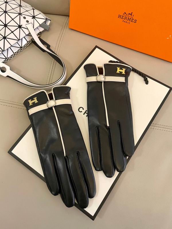 Hermes Gloves hm (10)