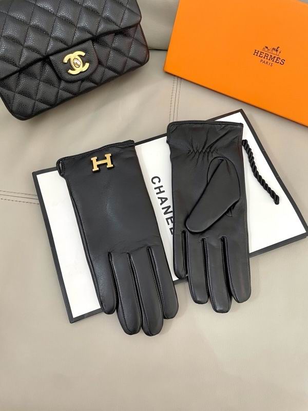 Hermes Gloves hm (18)