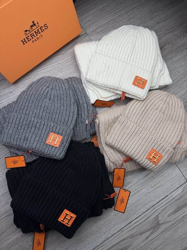 Hermes Scarf Hat hm (9)