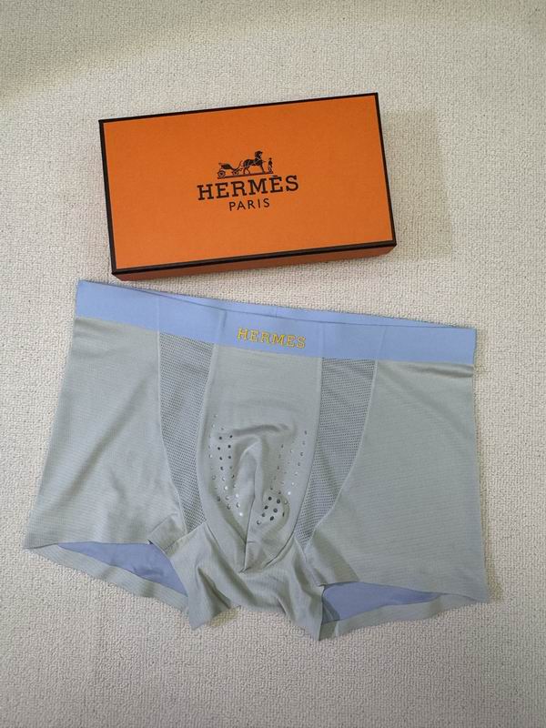 Hermes boxer L-4XL 01 (1)