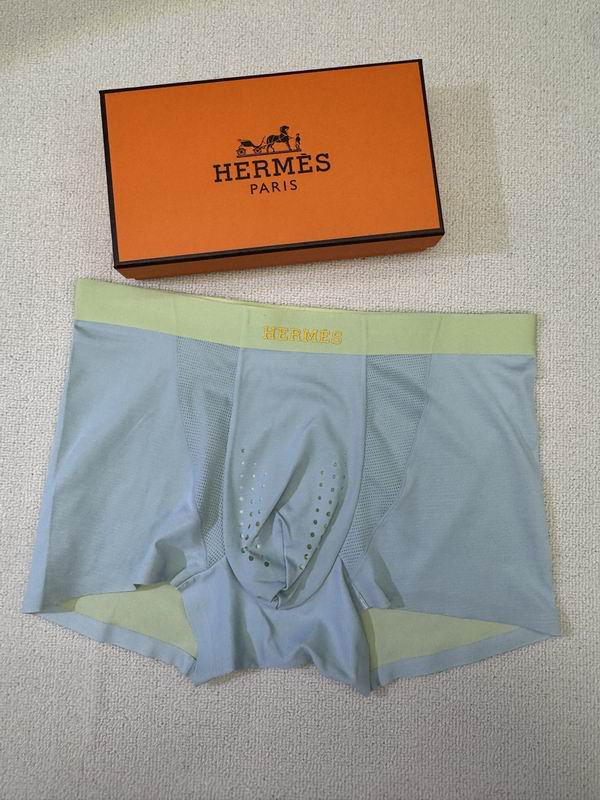 Hermes boxer L-4XL 01 (2)