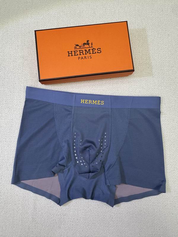 Hermes boxer L-4XL 01 (3)