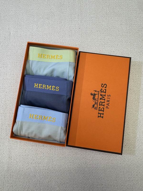 Hermes boxer L-4XL 01 (4)