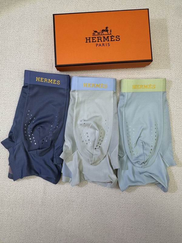 Hermes boxer L-4XL 01 (6)