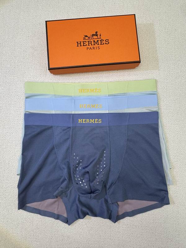 Hermes boxer L-4XL 01 (9)