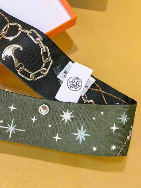 Hermes silk ribbon 5X86cm E01 (14)