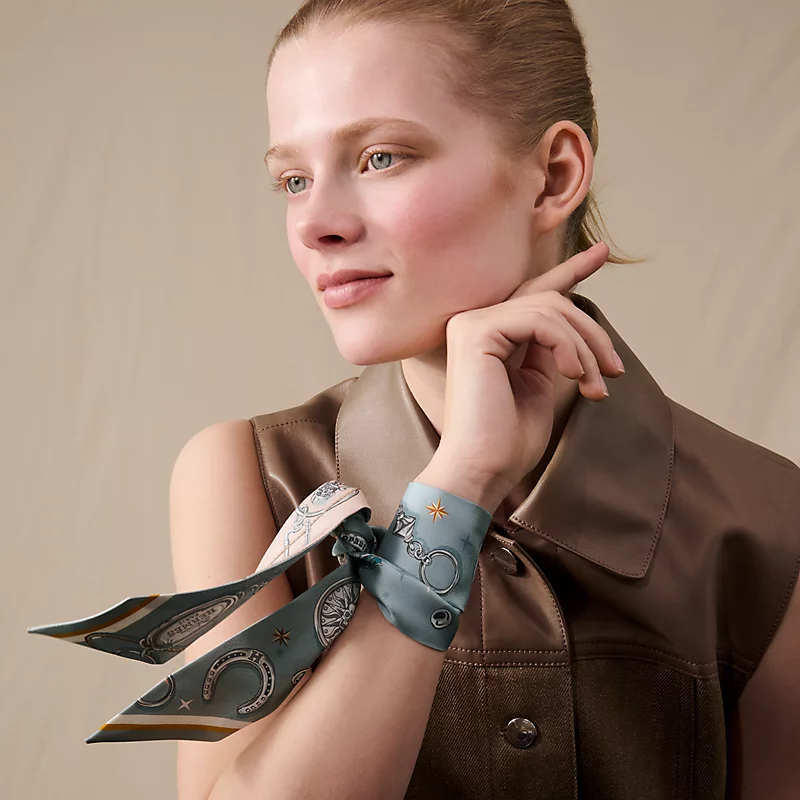 Hermes silk ribbon 5X86cm E01 (26)