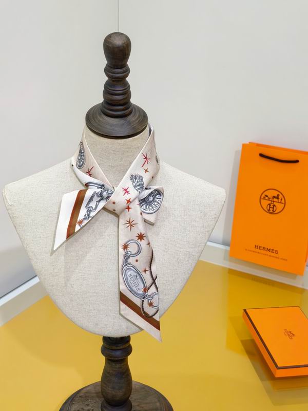 Hermes silk ribbon 5X86cm E01 (29)