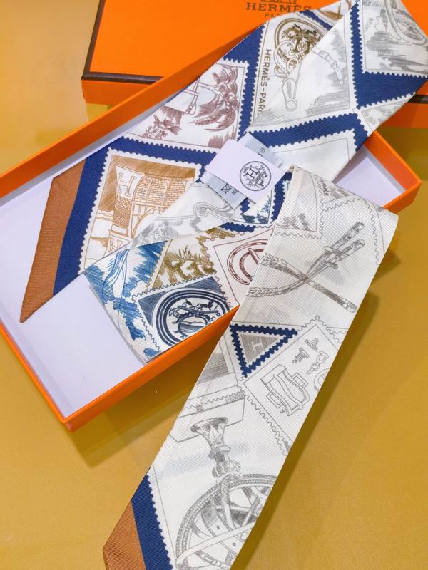 Hermes silk ribbon 5X86cm E02 (21)