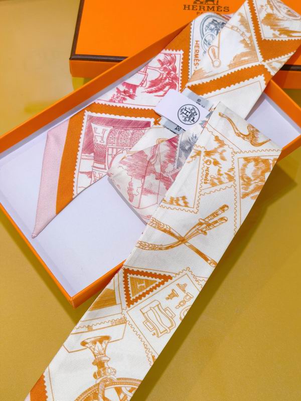 Hermes silk ribbon 5X86cm E02 (30)
