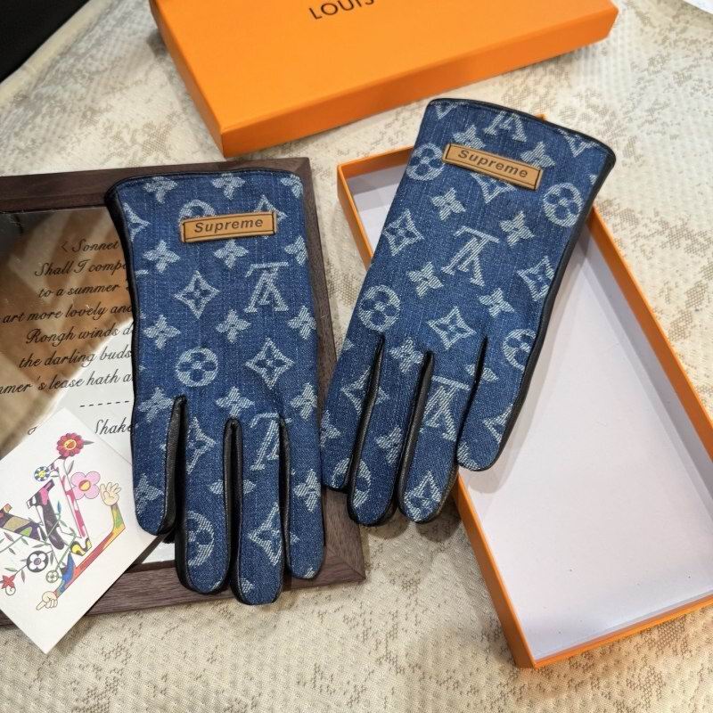 LV Gloves hm (125)