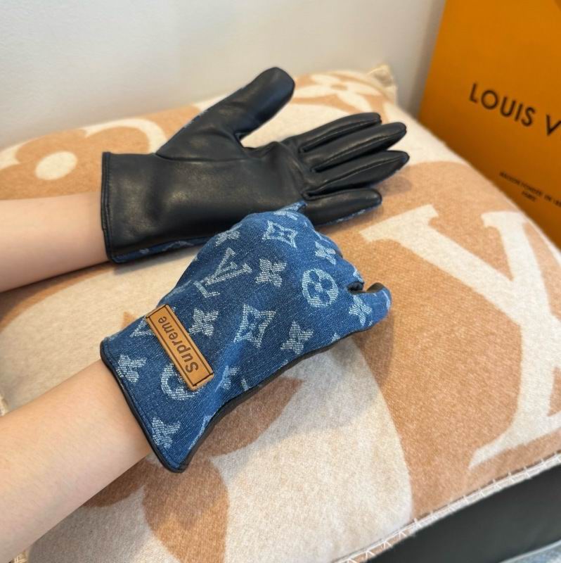 LV Gloves hm (126)