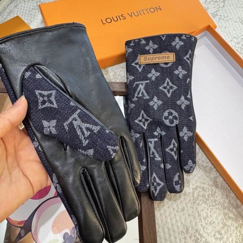 LV Gloves hm (128)