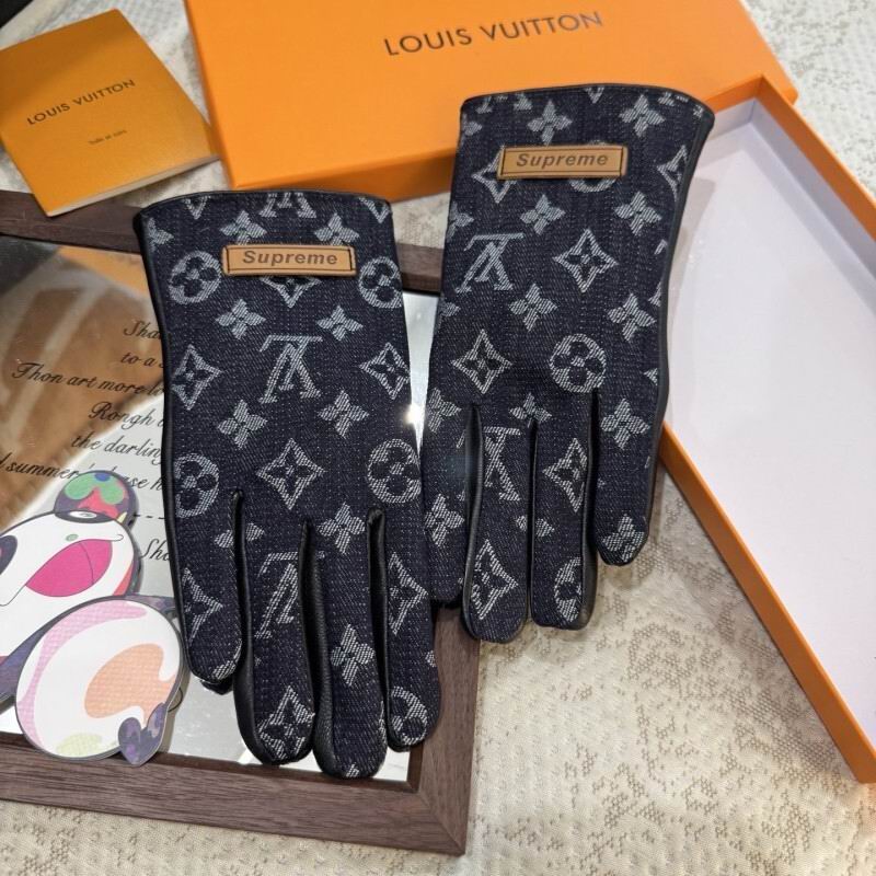 LV Gloves hm (129)