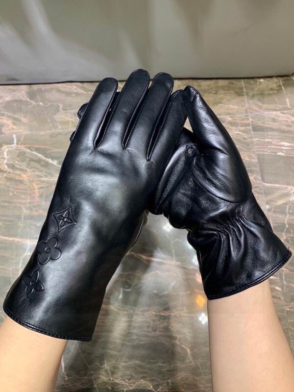 LV Gloves hm (139)