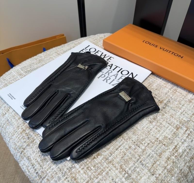 LV Gloves hm (141)