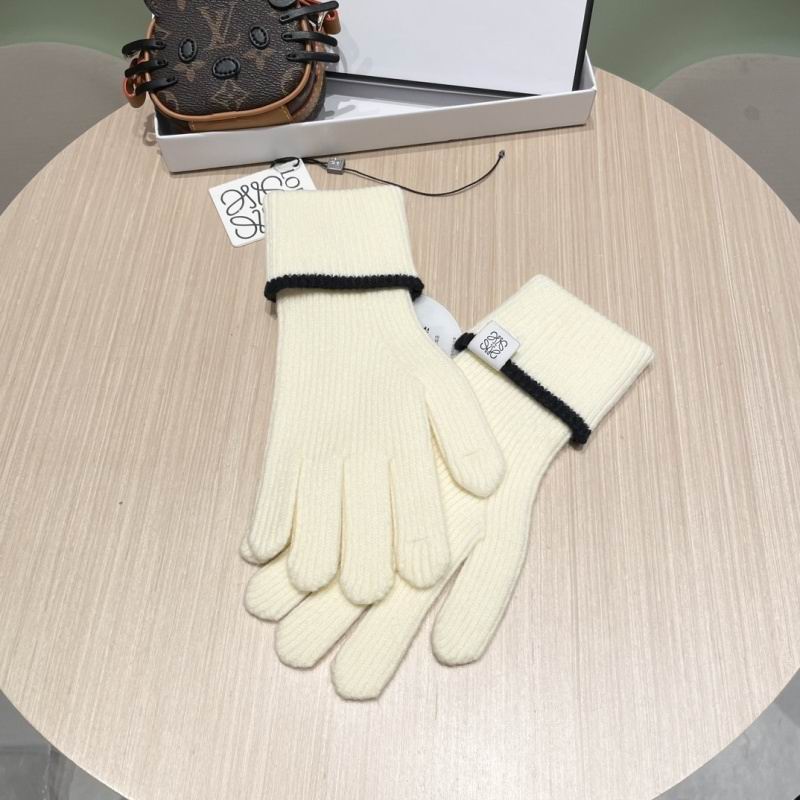 Loewe Gloves hm (17)