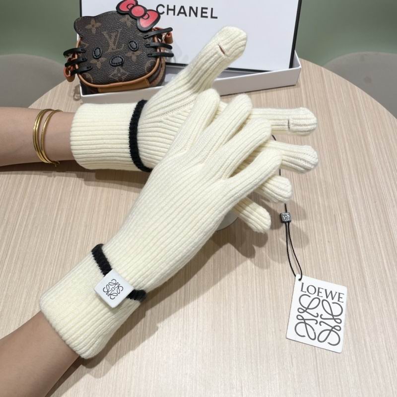 Loewe Gloves hm (19)