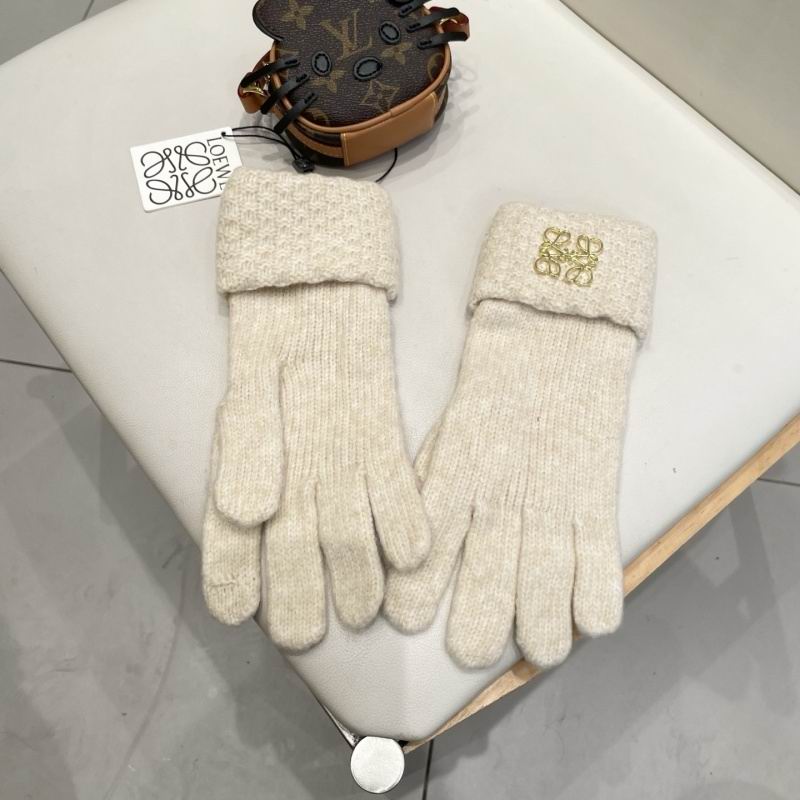 Loewe Gloves hm (2)