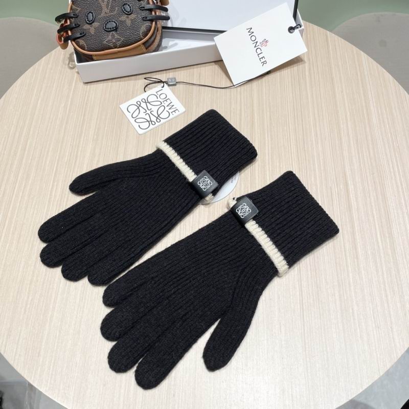 Loewe Gloves hm (21)