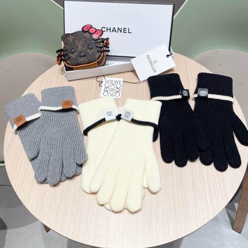 Loewe Gloves hm (23)