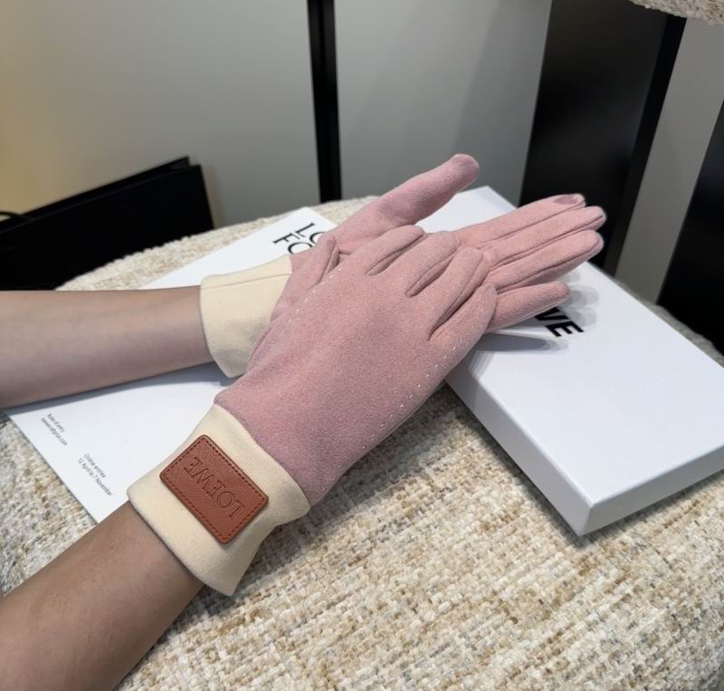 Loewe Gloves hm (30)