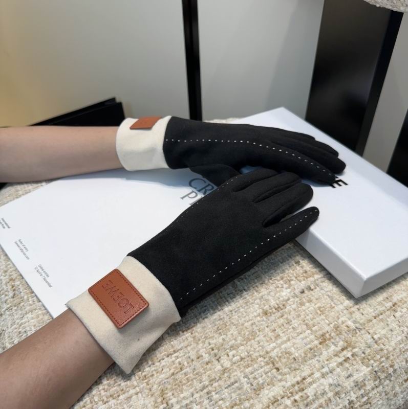 Loewe Gloves hm (31)