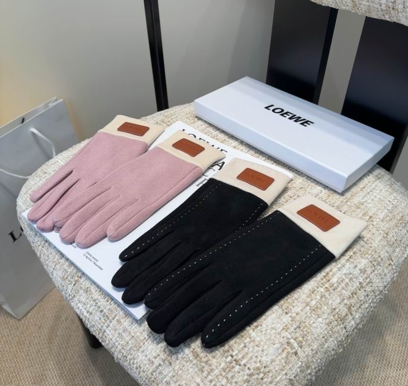 Loewe Gloves hm (32)