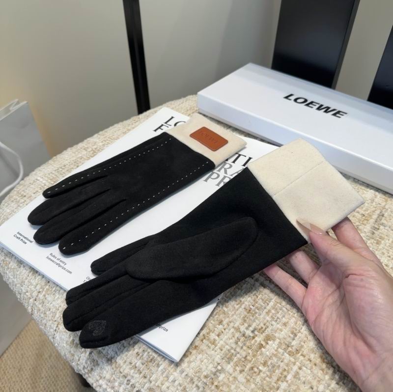 Loewe Gloves hm (35)