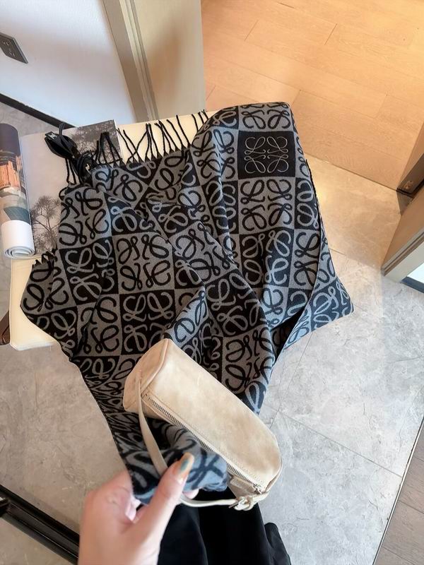 Loewe Scarf 205X60cm E09 (13)